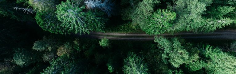 Artificial Intelligence Applied To Precision Agriculture